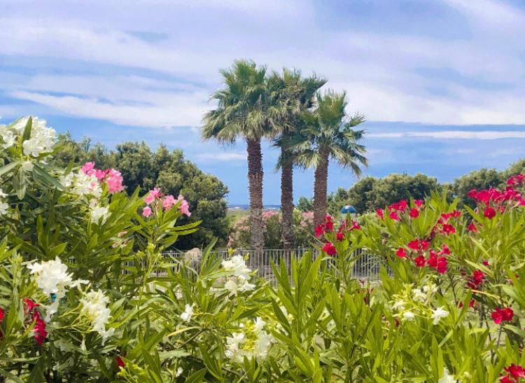 Lugh'E Luna Village Narbolia Εξωτερικό φωτογραφία